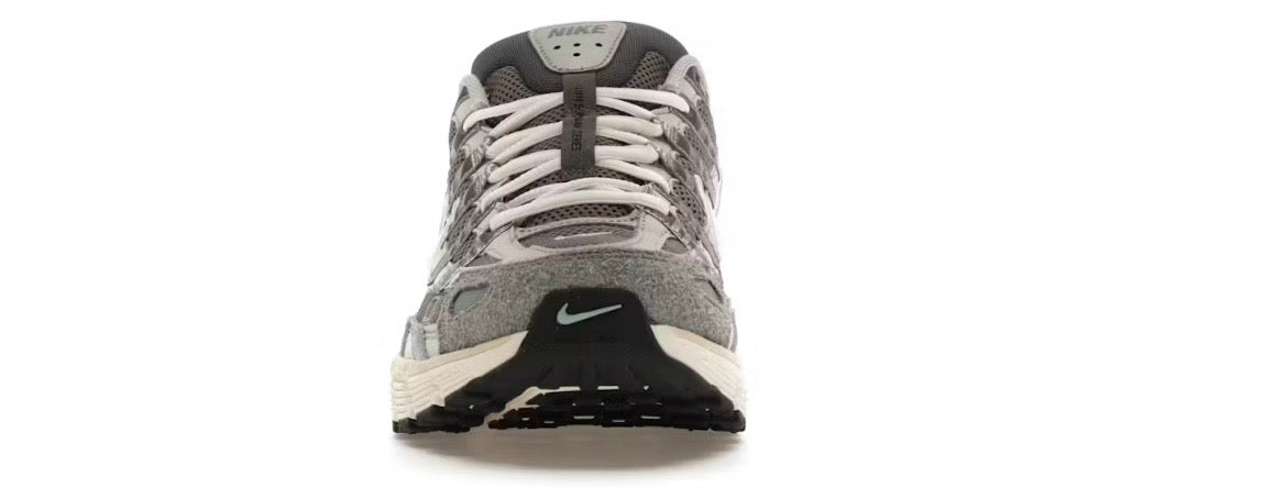 Nike P-6000 Tin